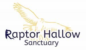 Raptor Hallow Sanctuary Agency Fund (2024)